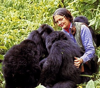 Diana Fossey wahariye ubuzima bwe kuba mu ngagi.