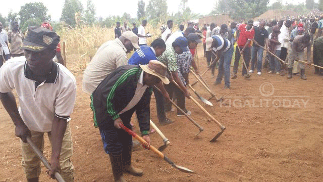 Umuganda wa mbere w'umwaka wa 2017 witabiriwe ku bwinshi mu gihugu