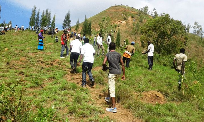 Kuri uyu musozi uzwi nk'Ibere ry'Inkumi ni ho hatewe ibiti 3000.