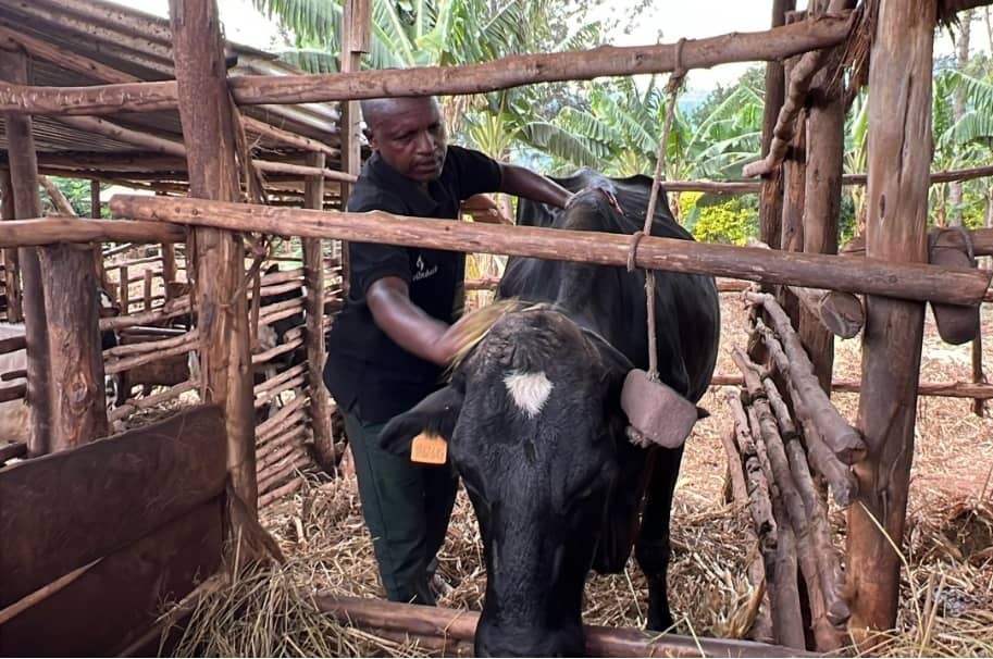 Nzeyimana yita ku nka ze