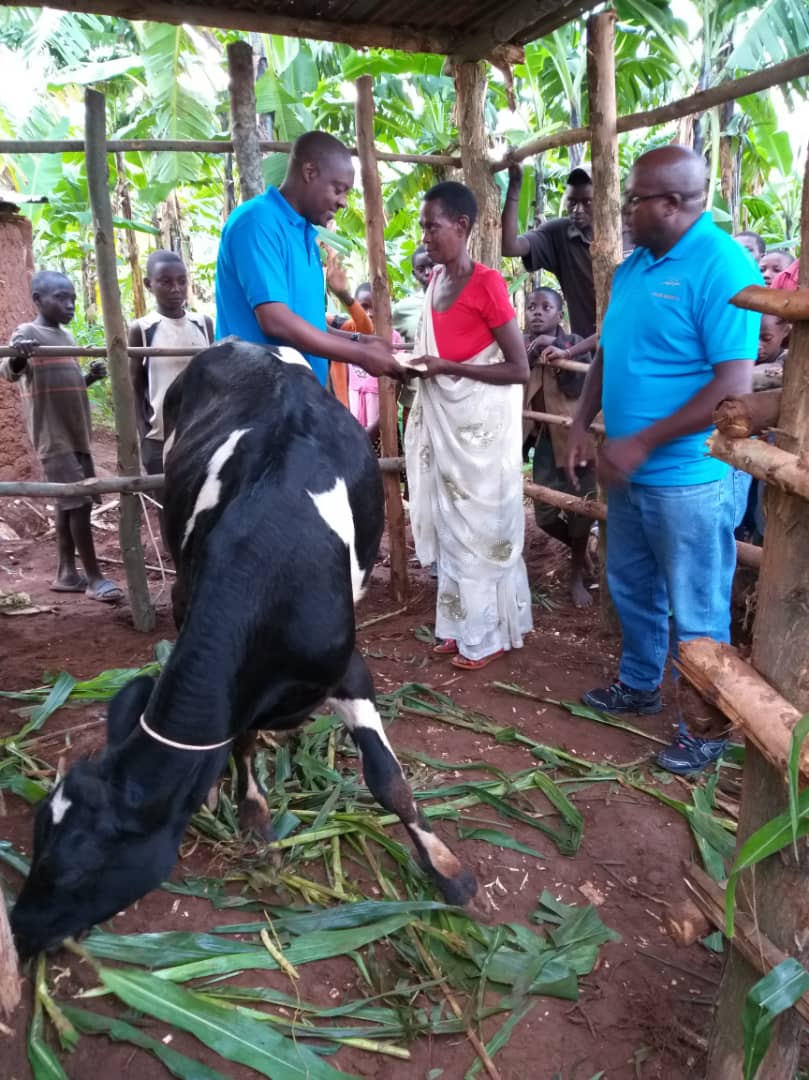 Yashyikirijwe n'ibahasha irimo ibizamwunganira mu kwita ku nka, bamwemerera no kuzamwubakira ikiraro cyiza