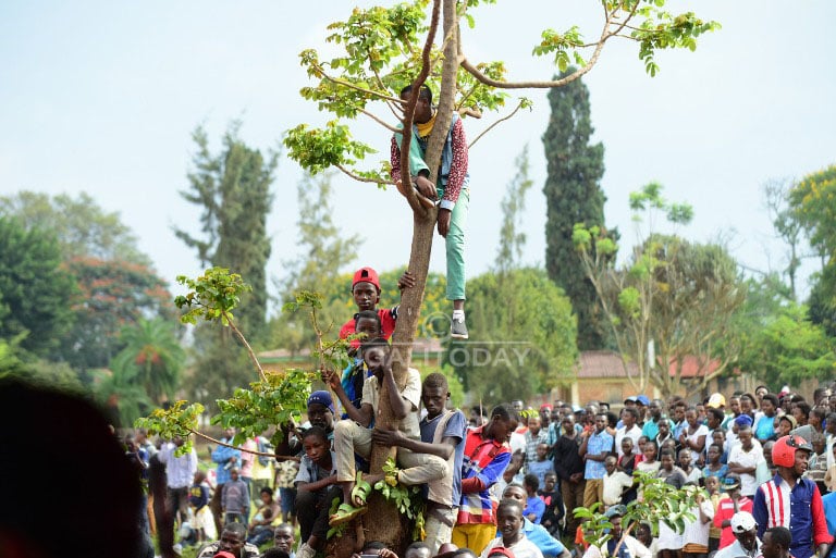 Bamwe buriye ibiti kugira ngo barebe abahanzi bakunda