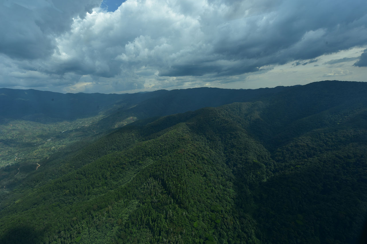 Hagati mu ishyamba rya Nyungwe, ari naryo rinini mu mashyamba yo mu Rwanda