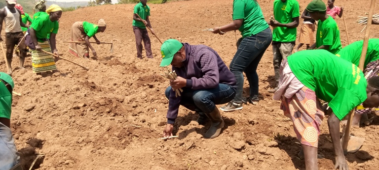 Gitifu Valens Murenzi (wambaye umupira w'umukara uri gutera ingeri z'imyumbati) na we yateye imyubati