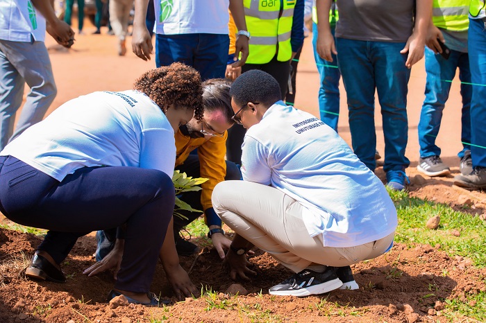 Hatewe ibiti bigera ku bihumbi bibiri