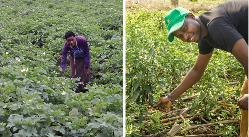 Urubyiruko rukora imirimo ishingiye ku buhinzi mu Rwanda rugeze kuri 30.7%