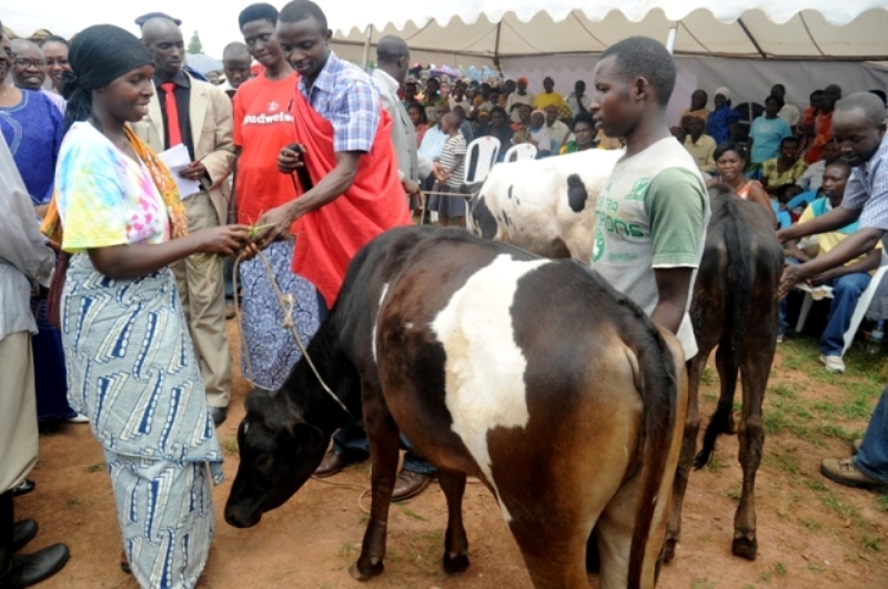 Gahunda ya Girinka ni gahunda iranga Abanyarwanda