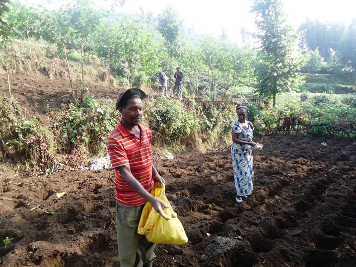Abahinzi bakomeje imirimo yo guhinga no gutera kandi bakurikije uko babona ikirere barizera kuzabona umusaruro mwiza.