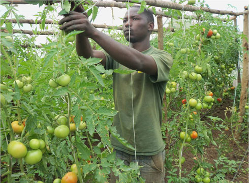 Minisitiri Murekezi arajya inama yo gushaka imirimo itavunanye Abanyarwanda bahugiraho aho guhora mu tubari