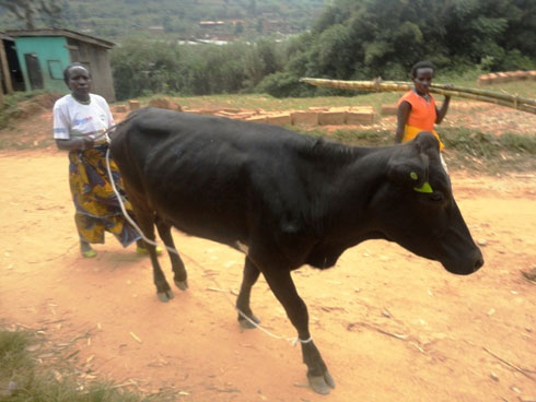 Abamaze kwigaragaza barasaba abandi bakomeje kwihishahisha kwigaragaza.