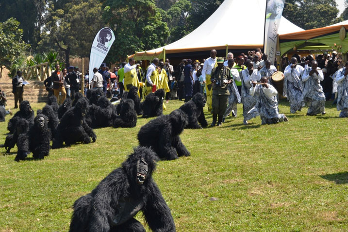 Abana b'ingagi 18 bahawe amazina mu muhango wo kwita izina.