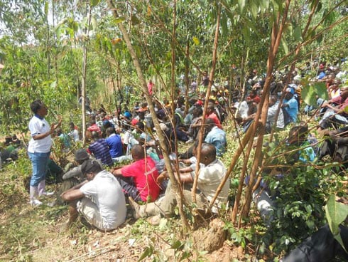 Abanyaruyenzi nyuma y