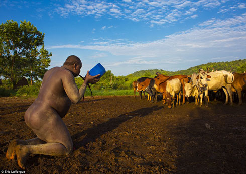 Abari mu myiteguro ngo bazinduka mu rukerera banywa amata n'amaraso baba betegerejeho kubabyibushya.