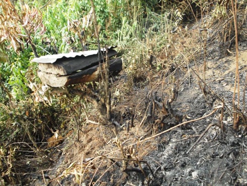 Abarimo biba ubuki babonye ishyamba rihiye barahunga.