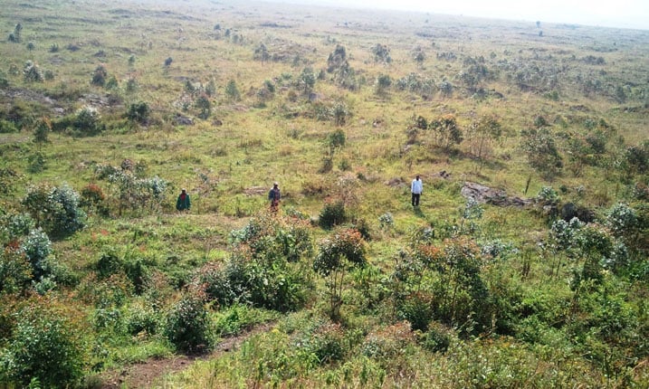 Abaturage ba Rusura bagaragaza ahari umupaka kandi harenga Kanyesheja 2 ujya muri Kongo.