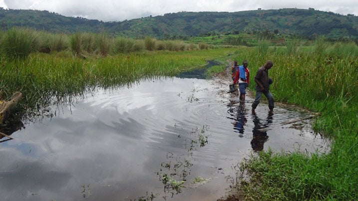 Bamwe mu baturiye igishanga cya Rugezi ngo basigaye bacyambuka n