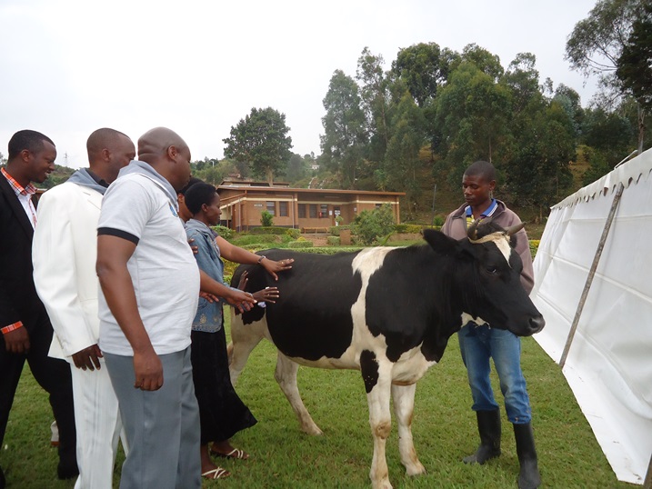 Abayobozi bashykiriza impfubyi za Twumba zibana inka zahawe na IPRC West.