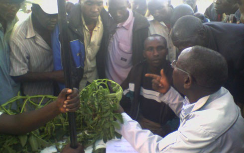 Bamwe mu bahinzi bo mu karere ka Burera bari gusobanurirwa uburyo bazajya bajya kuvuza ibihingwa byabo.