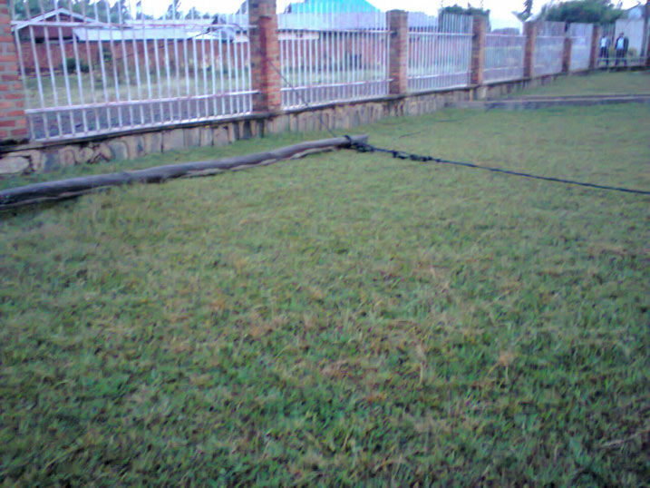 Bimwe mu biti by'insinga z'amashanyarazi byagushijwe n'umuyaga.