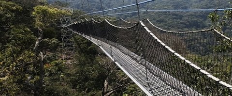 Canopy way.