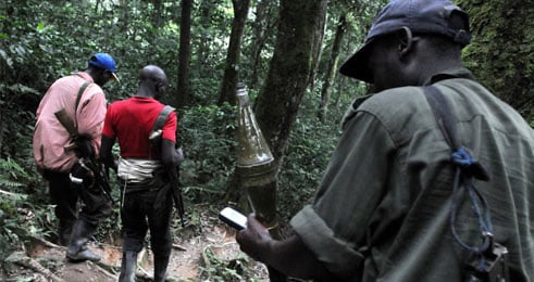 Bamwe mu barwanyi ba FDLR mu mashyamba ya Congo.