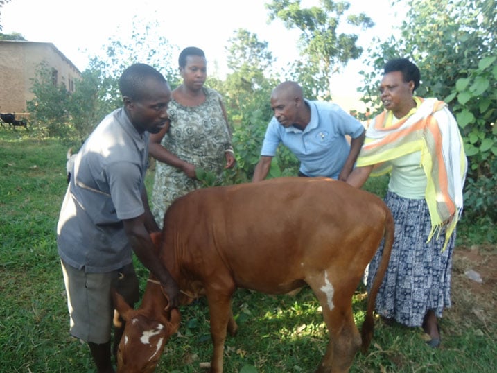 Imwe mu nka zavuye mu mafaranga abaturage b