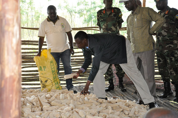 Minisitiri w'ingabo, Gen James Kabarebe, yitegereza umusaruro w'ibigori byahinzwe n'umutwe w'ingabo wa Reserve Force i Gabiro mu karere ka Nyagatare.