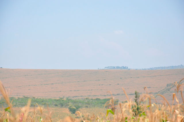 Umutwe w'ingabo wa Reserve Force wahinze ibigori kuri hegitari 664.