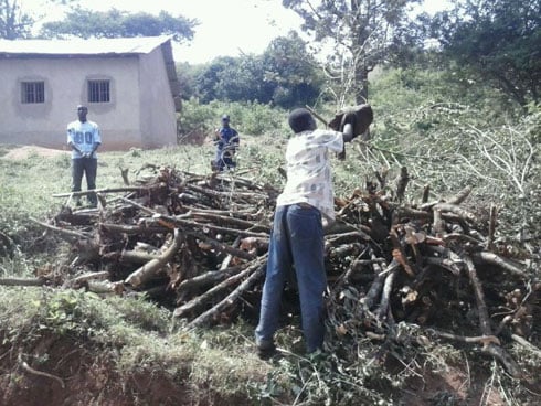 Ibiti byitwa imisheshe bisigaye mu mashyamba cyimeza yo mu karere ka Nyanza.