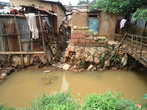 Ngo imiturire y