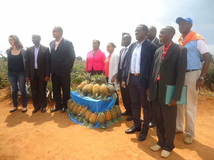 Abadepite bo muri Seychelles bemereye isoko inanasi zo mu Rwanda.
