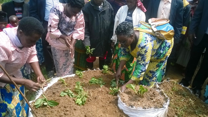 Intumwa yaturutse muri MIGEPROF yerekereye abaturage uko bagomba kwita ku turima tw'igikoni.