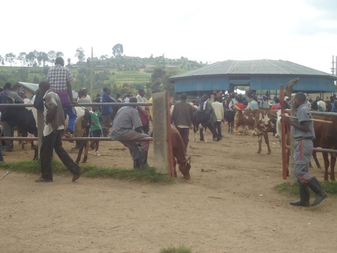 Isoko ry'inka mu Ruhango ryitabirwa n'abantu benshi cyane.