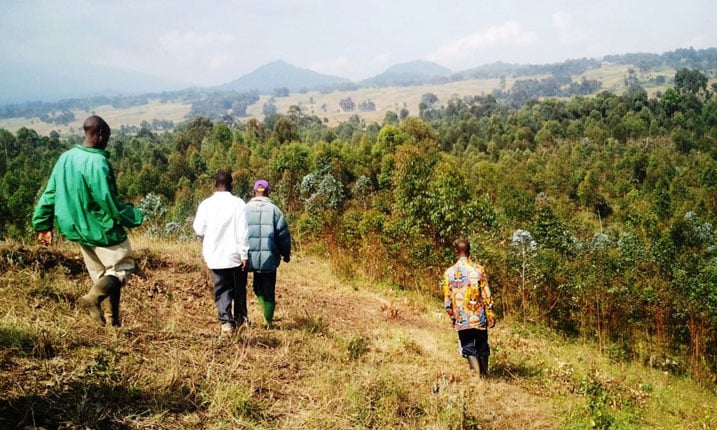 Kanyesheja y'u Rwanda iriho ishyamba nubwo ingabo za Kongo zaritemye mu gihe cy'imirwano.