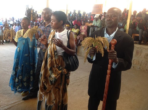 Koperative Koperimu ihinga umuceri ngo gukorera hamwe babikesha imiyoborere myiza.