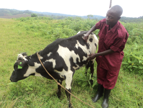 Kugororera ba Local Defense ni ukubashimira ubwitange bakorana akazi kabo.