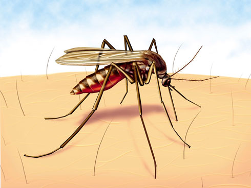 Malaria iterwa n