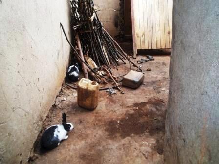 Nta byinshi byangirikiye muri iyo nzu yasakambutse.