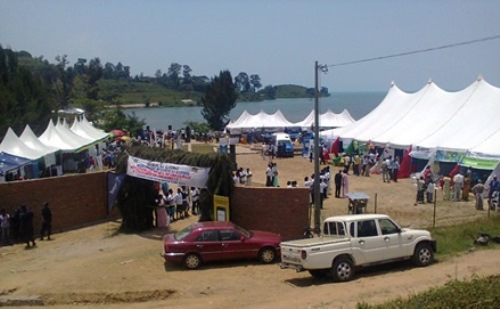 Open Day y