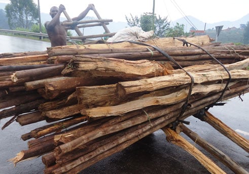 Ngo atwara imizigo benshi batakwigerezaho