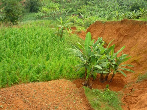 Ubutaka buri kurigita kuva mu mpera za 2011 i Rwaza.