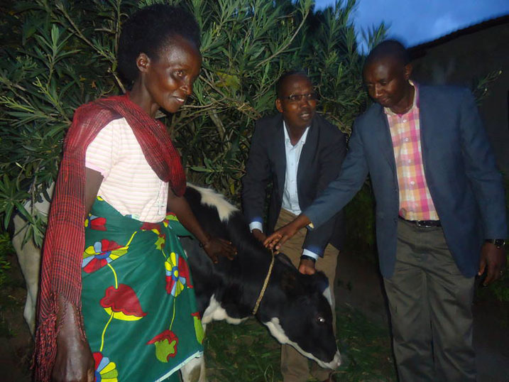 Ubwo Mukarubibi yashyikirizwaga inka yagenewe na EWSA.