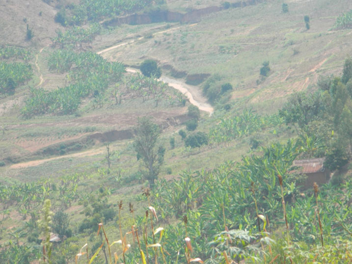 Umugezi w