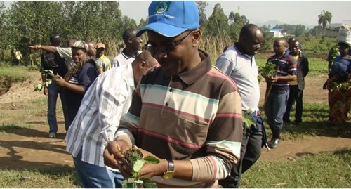 Umuyobozi w
