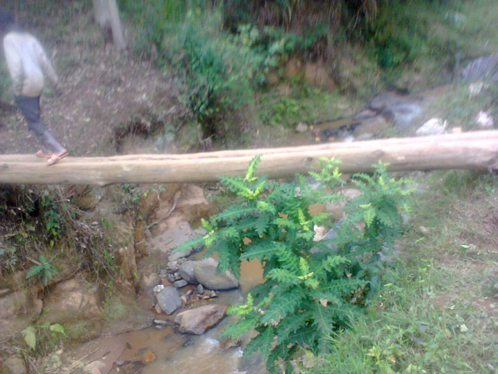 Urutindo rwa Bitare.