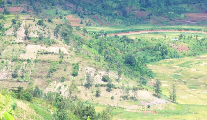 Uruzi rw'Akanyaru runyura inyuma y'aka gasozi hakurya hakaba i Burundi.