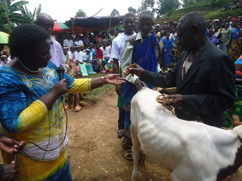 Visi Perezida w'Umutwe w'Abadepite Kankera Marie Josee n'Umuyobozi w'akarere Habyarimana Jean Baptiste bashyikiriza inka umuturage waremewe.