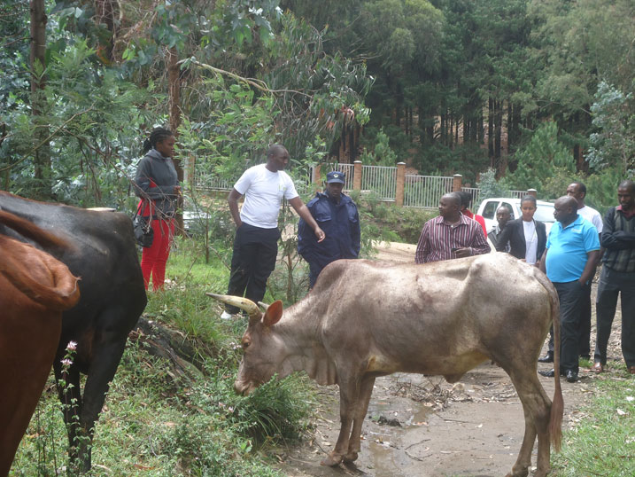 Zimwe mu nka Ecobank Rwanda, Zone y'Uburengerazuba n'Amajyaruguru yahaye abacitse ku icumu rya Jenoside batishoboye bo mu Bisesero.