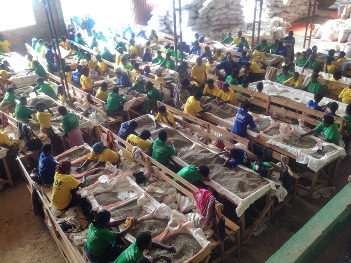 Aba bagore uko ari 500 bose batanze iyi nkunga bagura imipira yo gushyigikira ingabo zamugariye ku rugamba