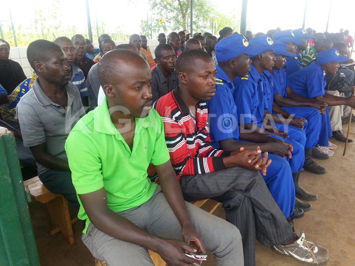 Aba barobyi nyuma yo kumenya igihombo batezwa n'ifi z'imamba ngo bahisemo kuziroba kubwinshi ngo bazigabanye mu kiyaga izindi zororoke.